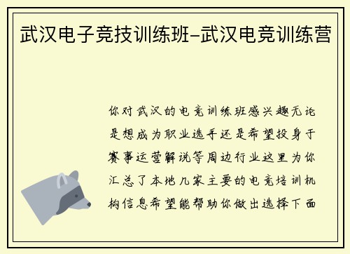 武汉电子竞技训练班-武汉电竞训练营